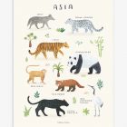 Affiche enfant - Animaux d'Asie 30 x 40 cm