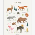 Affiche enfant - Animaux d'Europe 30 x 40 cm
