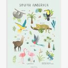 Affiche enfant - Animaux d'Amérique du sud 30 x 40 cm