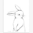 Affiche enfant -  Lapin de face 30 x 40 cm