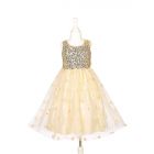 Déguisement robe de princesse Angélique 3 - 4 ans