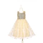 Déguisement robe de princesse Angélique 5 - 7 ans