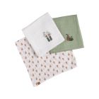 Lot de 3 langes coton bio 70 x 70 Botanica