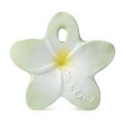 Anneau de dentition Jouet de bain Chewy-to-Go Bali la fleur