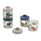Lot de 4 pots de conservation Dominique Dinosaurs Mist