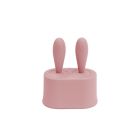 Tétines Grignoteuses glacées Blush