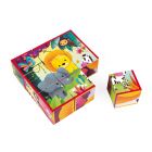 Lot de 9 cubes Animaux de la jungle