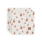 Lot de 3 langes coton hydrophile 70x70 cm Pear