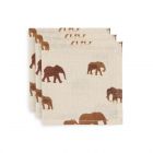 Lot de 3 langes coton hydrophile 70x70 cm Savannah