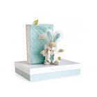 Coffret protège carnet de santé et peluche Lapin de sucre Amande