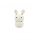 Boîte à dents Lapin