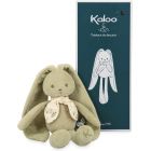 Doudou lapinoo 25 cm Vert