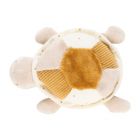 Tortue d'éveil caramel