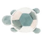 Tortue d'éveil verte