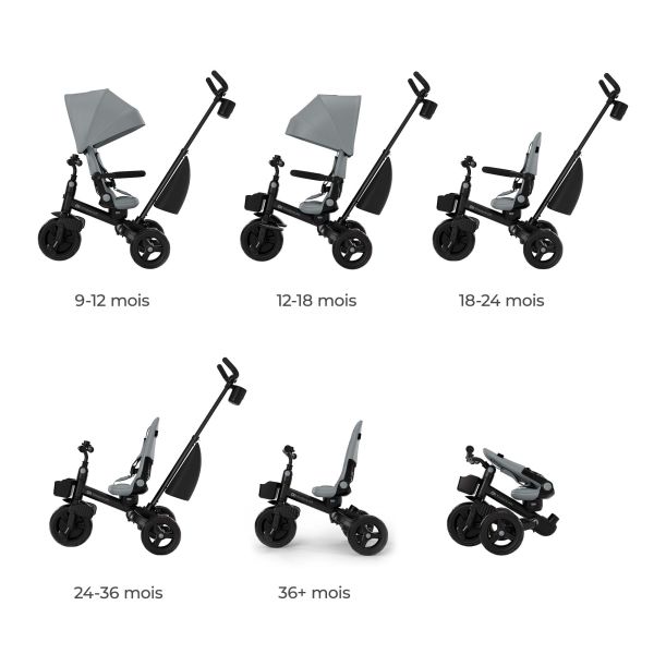 Tricycle Aveo 2 Plus - Grey