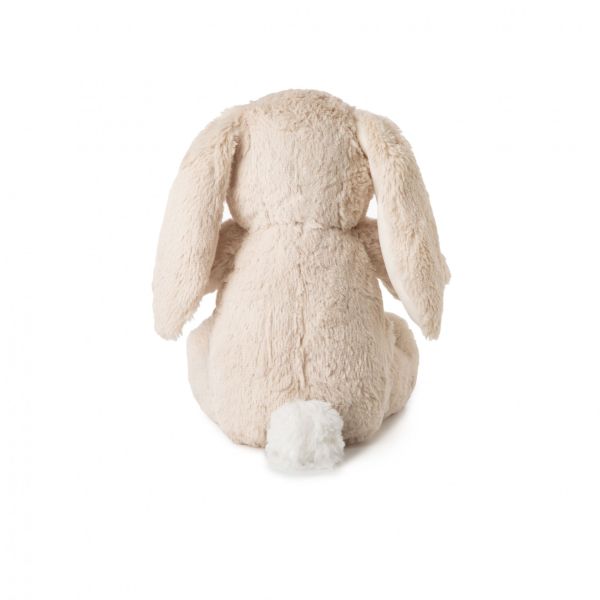 Pack sommeil bébé : veilleuse Lapin Buddies + conteuse CloudBox