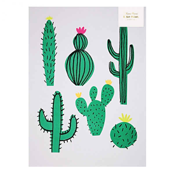 Affichettes d'art Cactus