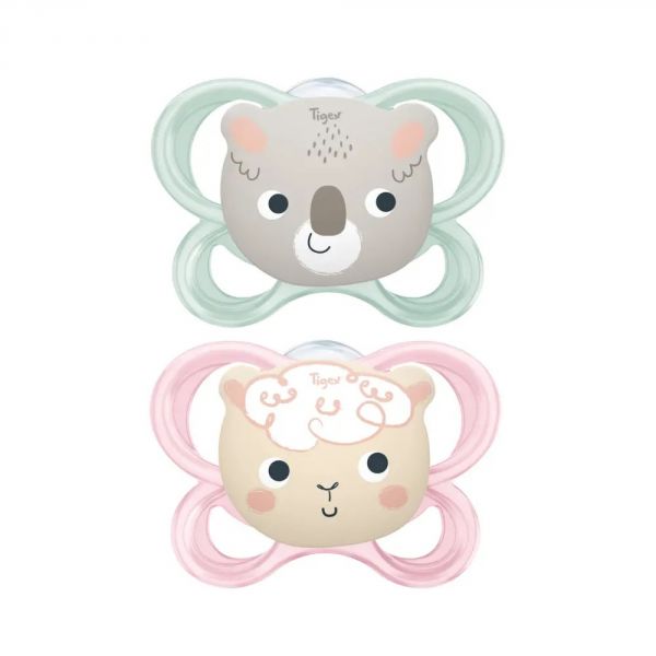 Lot de 2 sucettes Soft Touch Friends 6-18 mois