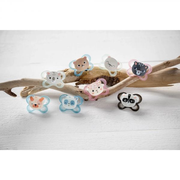 Lot de 2 sucettes Soft Touch Friends 6-18 mois