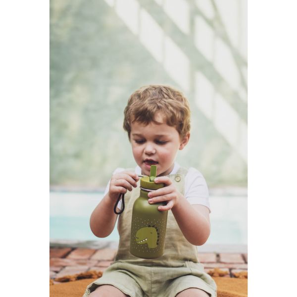 Gourde enfant 350ml Mr. Dino