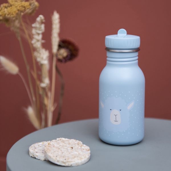 Gourde enfant 350ml Mr. Alpaca