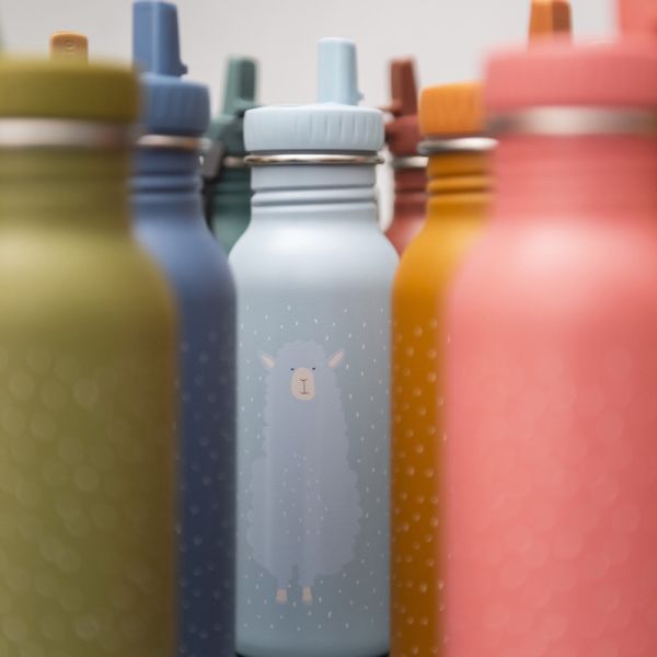 Gourde enfant 500ml Mr. Alpaca