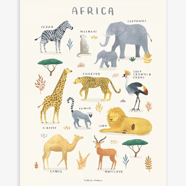 Affiche enfant - Animaux d'Afrique 30 x 40 cm