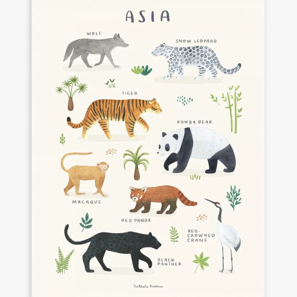 Affiche enfant - Animaux d'Asie 30 x 40 cm