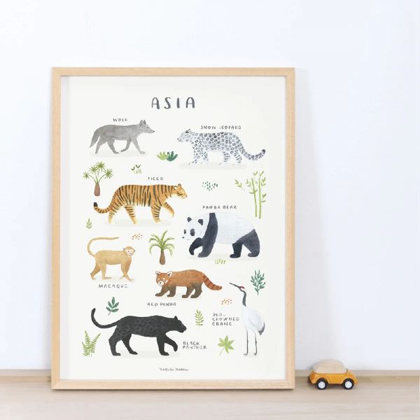 Affiche enfant - Animaux d'Asie 30 x 40 cm