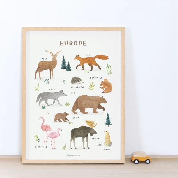Affiche enfant - Animaux d'Europe 30 x 40 cm