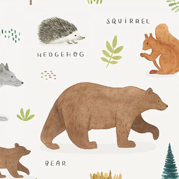 Affiche enfant - Animaux d'Europe 30 x 40 cm