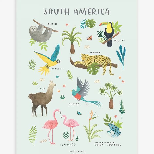 Affiche enfant - Animaux d'Amérique du sud 30 x 40 cm
