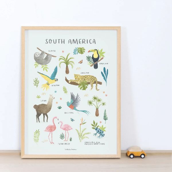 Affiche enfant - Animaux d'Amérique du sud 30 x 40 cm