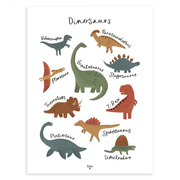 Affiche enfant - Dinosaures 30 x 40 cm