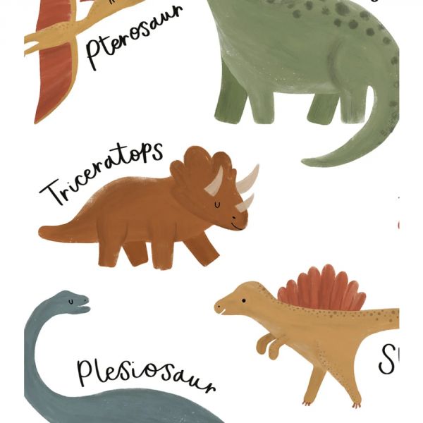 Affiche enfant - Dinosaures 30 x 40 cm