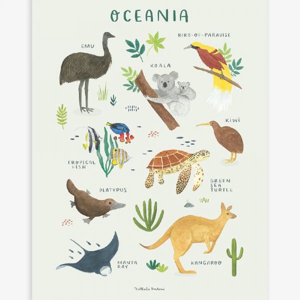 Affiche enfant - Animaux Océanie 30 x 40 cm