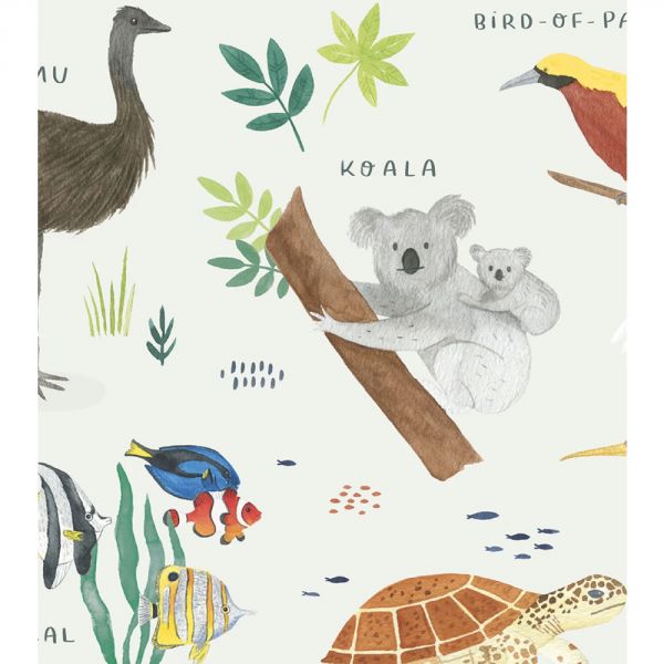 Affiche enfant - Animaux Océanie 30 x 40 cm