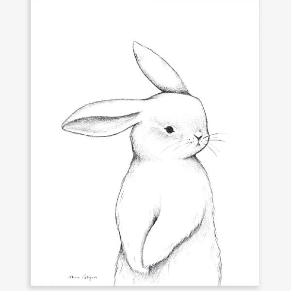 Affiche enfant -  Lapin de face 30 x 40 cm