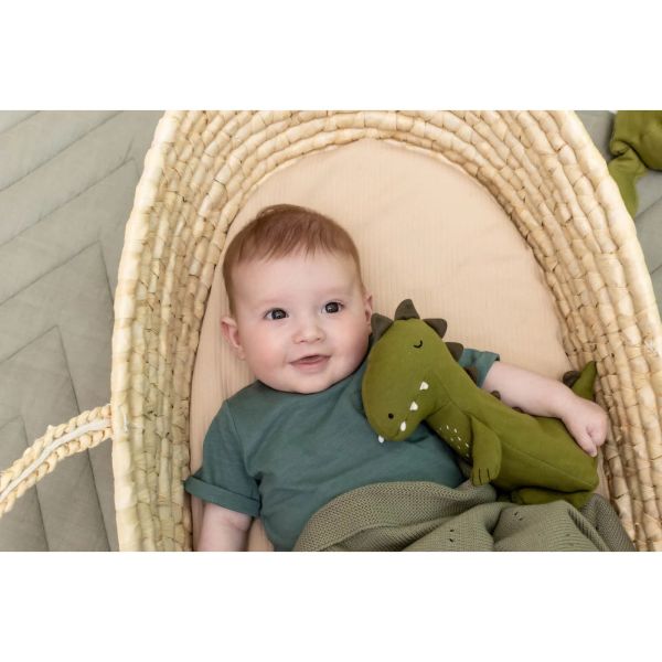 Peluche petite Mr. Dino