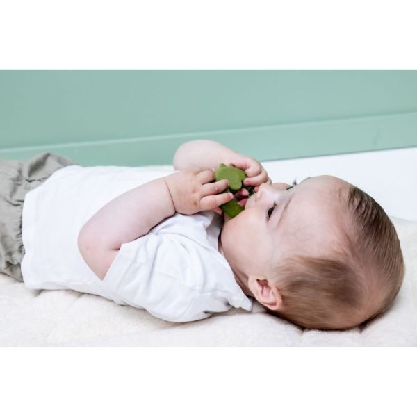 Anneau de dentition réfrigérante - Mr. Dino