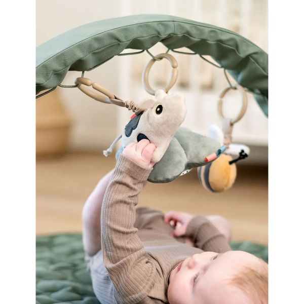 Arche d'activités Tiny farm Vert