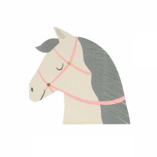Lot de 16 serviettes Cheval Équitation