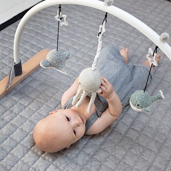 Arche d'éveil Baby Gym