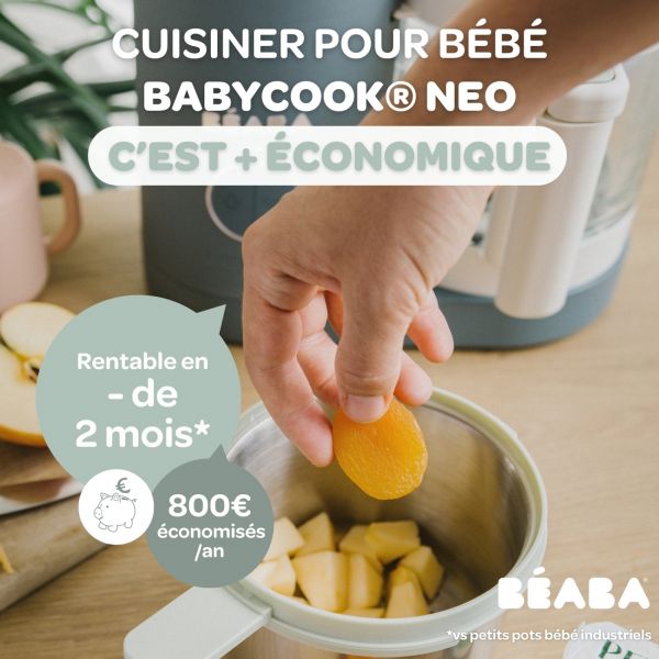 Robot Babycook Neo Gris mineral + Coffret 6 portions verre 250ml Sunrise color mix + Lot de 4 cuillères 1er âge silicone Storm