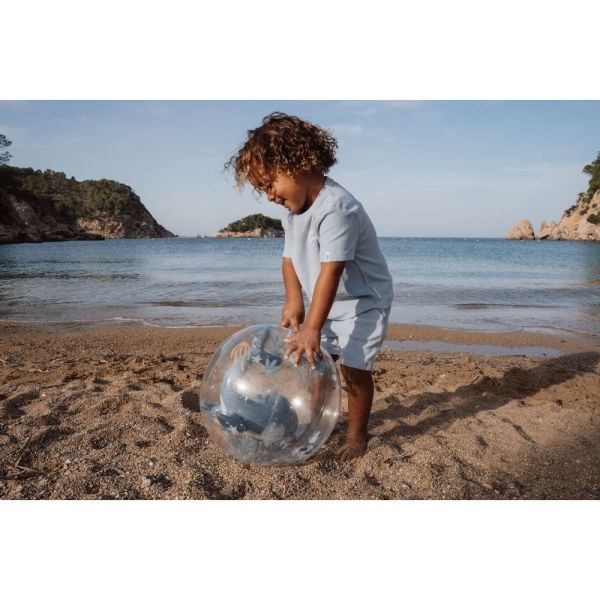 Ballon de plage 3D  - Ocean World