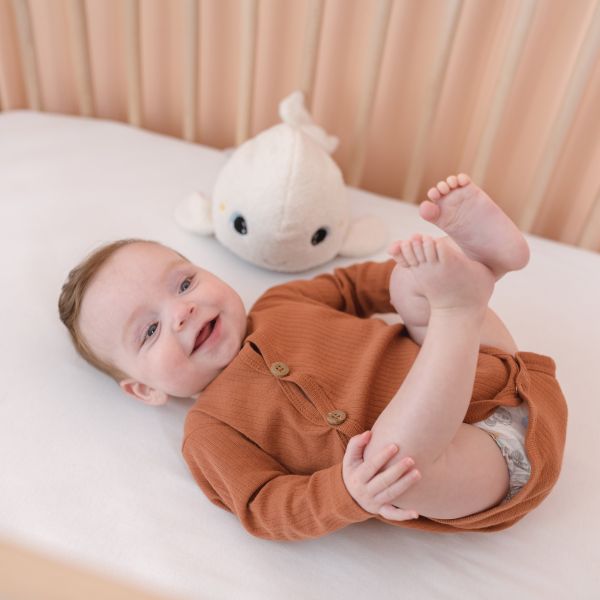 Veilleuse bébé Béluga peluche veilleuse & bruits blancs