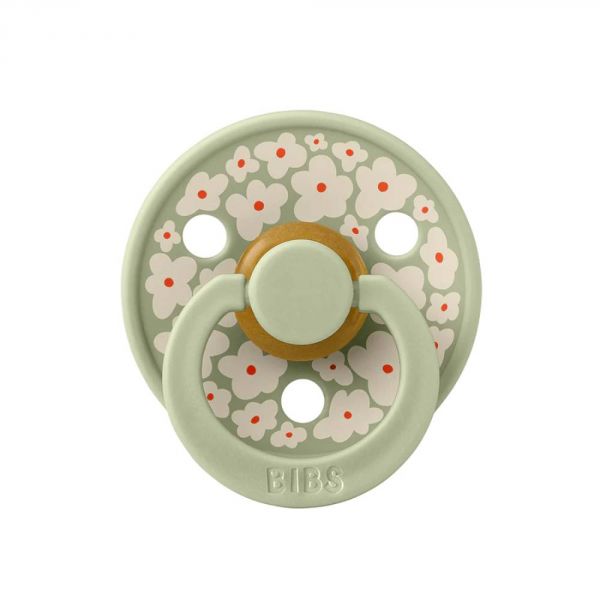 Pack de 2 sucettes Colour Caoutchouc Jasmine 0-6 mois Sage Mix