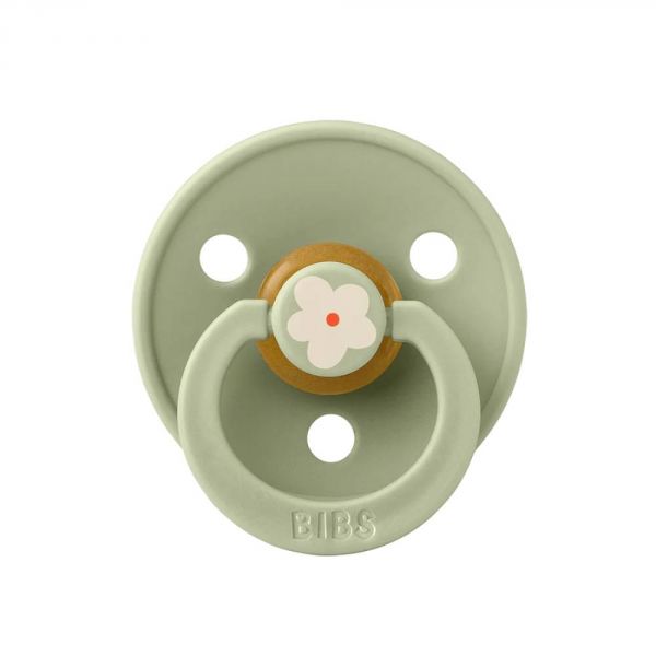 Pack de 2 sucettes Colour Caoutchouc Jasmine 0-6 mois Sage Mix