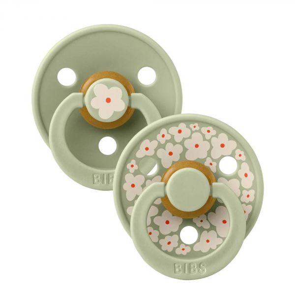 Pack de 2 sucettes Colour Caoutchouc Jasmine 6 mois+ Sage Mix