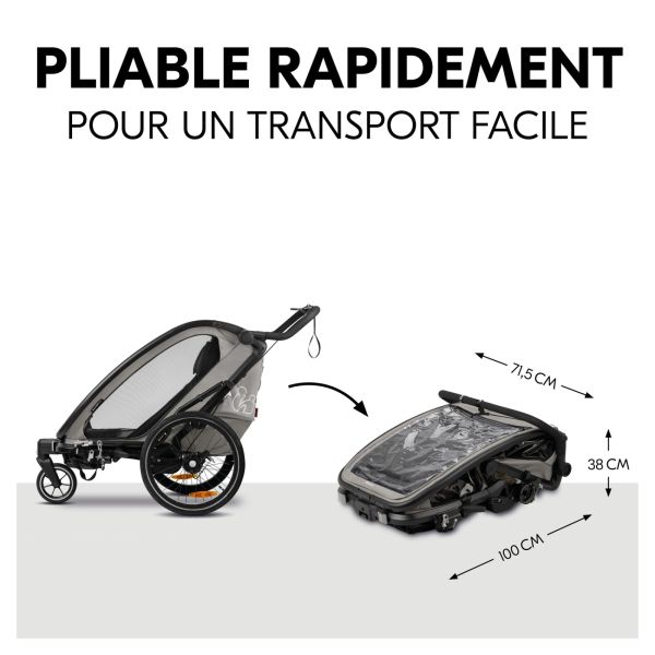 Remorque de vélo Dryk Duo Light Grey